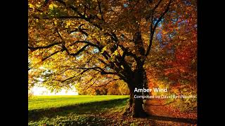Details Amber Wind - composed by David Berthiaume Update