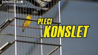 DownloadPLECI KONSLET!! MP3 MP4 PLECI KONSLET!!