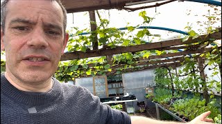 Exclusive Garden Vlog: Unfiltered Behind-the-Scenes Experience for Our Loyal Community