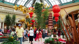 BELLAGIO CONSERVATORY & BOTANICAL GARDEN: LUNAR (CHINESE) NEW YEAR! (4K)