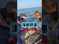 祖父と『海底耕運』に行ってきました🛥️🔥 #船長の日常 #淡路島