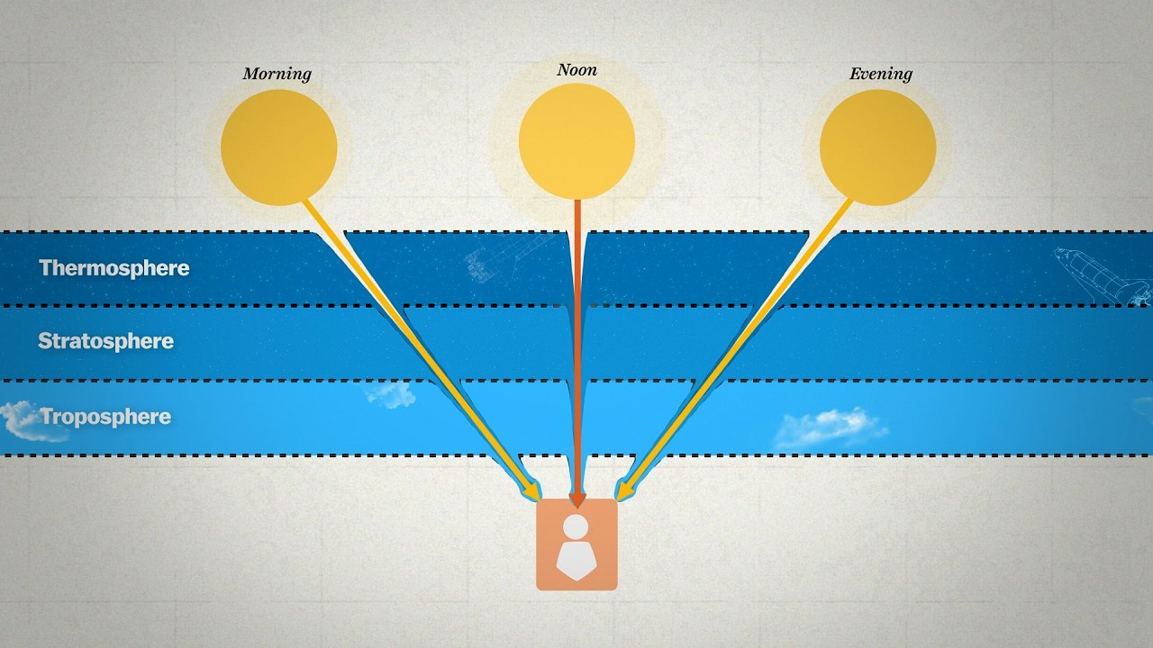 Vitamin D | Education Explainer