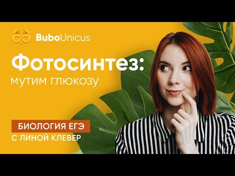 Фотосинтез | БИОЛОГИЯ ЕГЭ | Лина Клевер