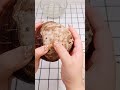 Hamster Obstacle Course Maze Course, Adorable Hamster Look So Funny, Hamster Funny Compilation 956