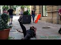 Funniest Reactions. Maximun Laughter. Bushman Prank