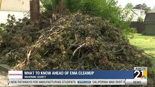 What to know ahead of EMA cleanup