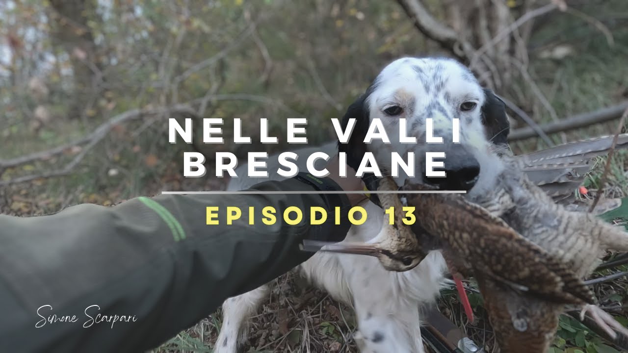 Nelle Valli Bresciane - Episodio 13 | Caccia alla beccaccia