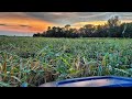 Predicting Our Worst Harvest Ever! Another Wind Storm