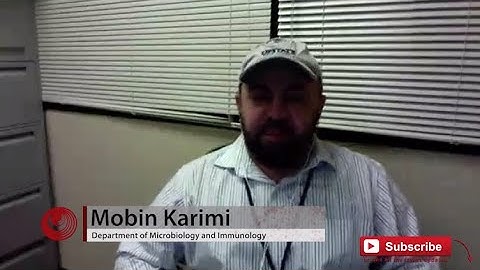 Oncotarget | CrkL Required for Donor T Cell Migration to GvHD Target Organs