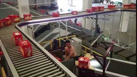 Cubisan, DWS, Sorter system from Gosunm machinery