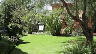 Mundo Alpaca - Michell Group