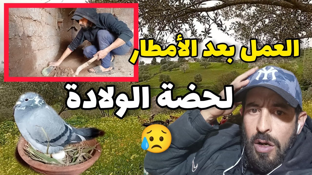 لن تصدق ما وثقته الكاميرا! 😱 لحظة خروج البيضة مباشرة وأنا أنظف المسكن!