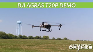DJI Agras T20P Spot Spraying Demo | Agri Spray Drones