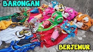 WOW‼️💥✅️  ADA BARONGAN BARONGSAI SAPI BANTENGAN DAN  DEVIL SEDANG BERJEMUR