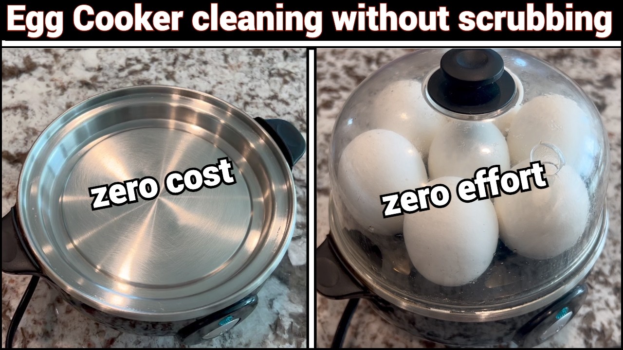 Egg Cooker (Egg Boiler) Easy Cleaning, Zero Cost, Zero Effort, No Scrubbing | 