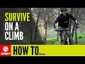 How To Survive On A Climb | MTB Skills