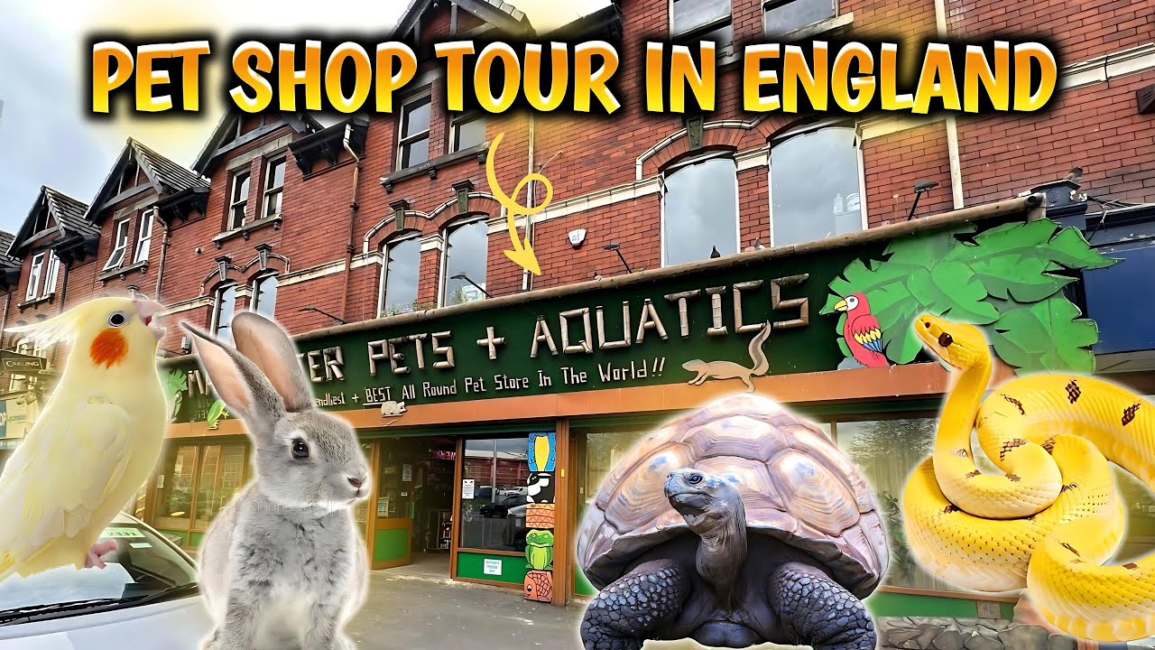 Pet Shop Tour In England Vlog YouTube pet-shop-tour-in-england-vlog-youtube