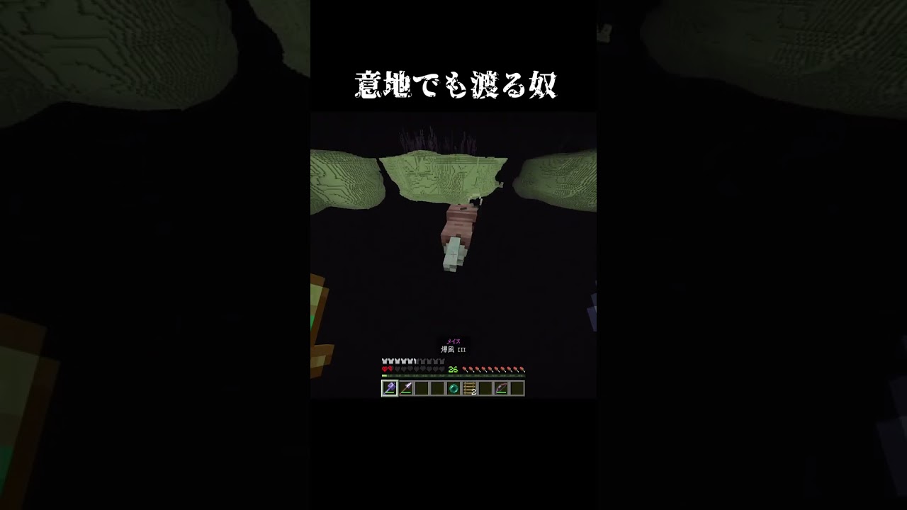 意地でも渡る奴3#minecraft #マイクラ #shorts