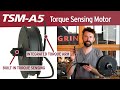 The TSM-A5, a Direct Drive Hub Motor with Integrated Torque Sensor