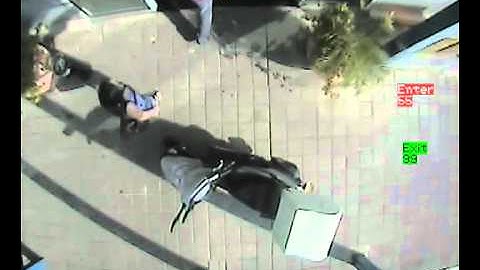 Vigilant NetStream Analytics People Counting