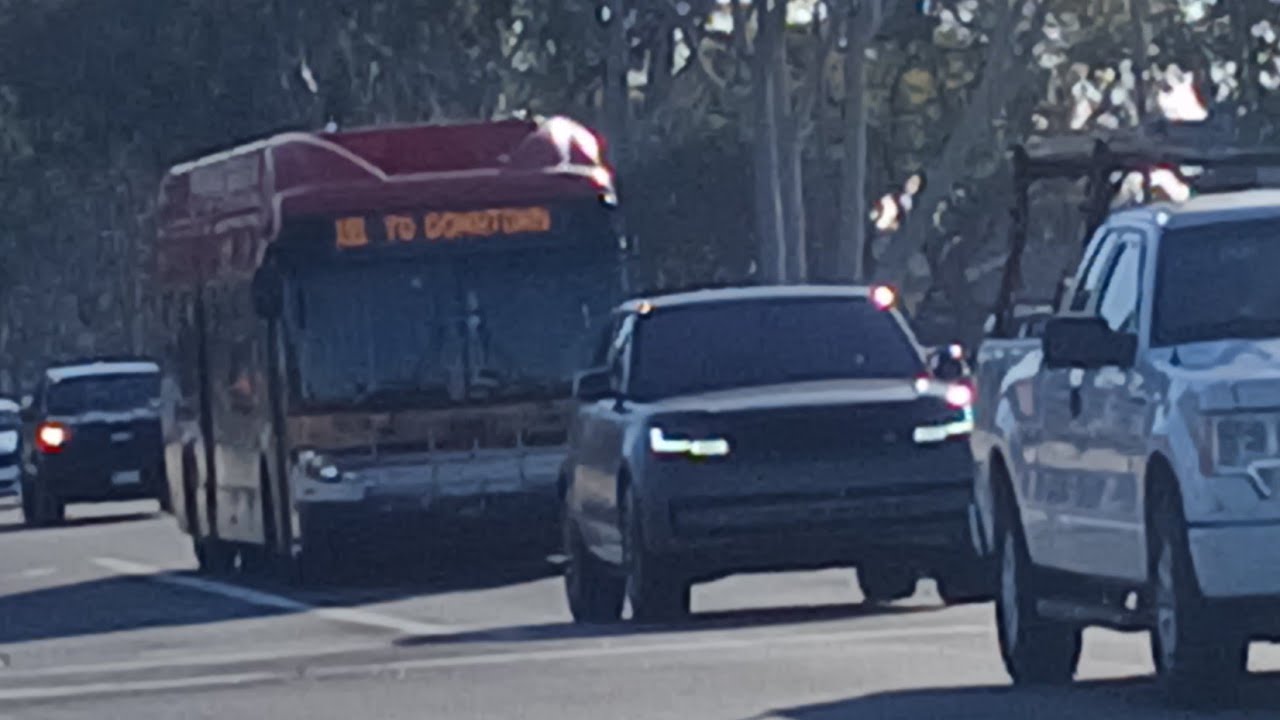 Long Beach Transit 2018 New Flyer XN40 #1838 Line 191 to Del Amo Station.