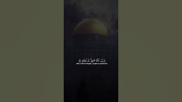 اكتب شيء تؤجر عليه 😴💚 قران كريم |  عبد الرحمن مسعد