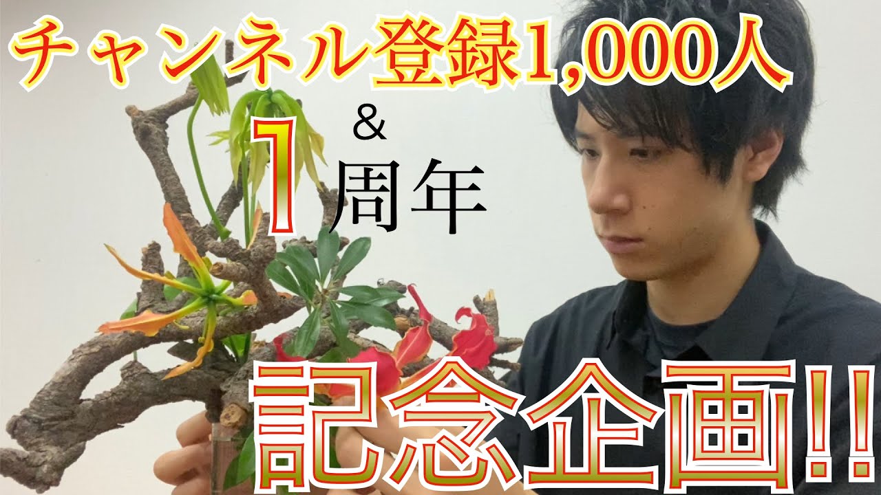 生け花】チャンネル登録者数1,000人&1周年記念企画〜！！【華道家 大塚