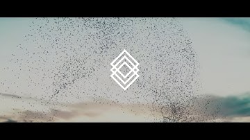 Introducing DAOstack