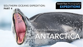 Photographing Wildlife in Antarctica || Part 4 || Penguins, Leopard Seals, and Ice