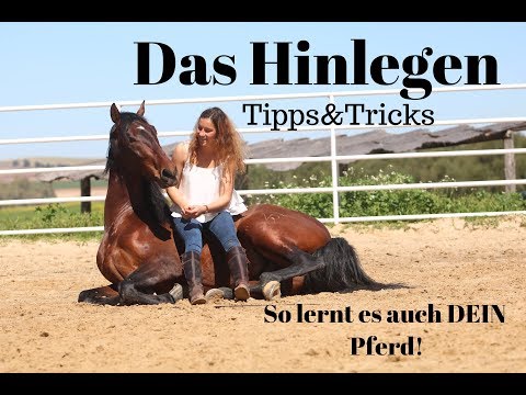 So lernt DEIN Pferd das HINLEGEN//Mein Trainer Tipp//MUSTANG MAKEOVER 2018