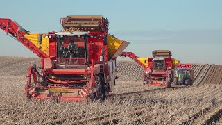 Double Tectron Power Potato Harvest Grimme