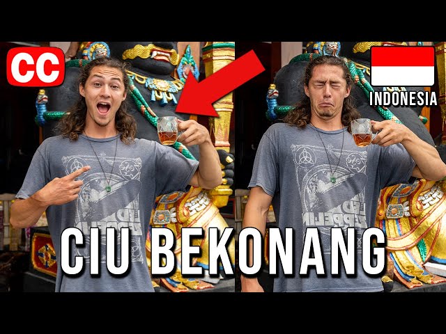 AMERICANS try INDONESIAN ALCOHOL | CIU BEKONANG | Central Java class=