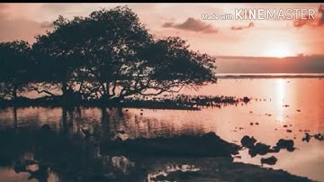 سوره فصلت ﴿ إِنَّ الَّذِينَ قَالُوا رَبُّنَا اللَّهُ ثُمَّ اسْتَقَامُوا﴾اسلام صبحي