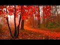 3 Hours, Relaxing Stress Relief Music, Zen Music, Nature Sounds Meditation, Sleeping Music, Relaxing