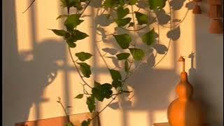 BAYANGAN TANPAMU jangan nangis ya!!!