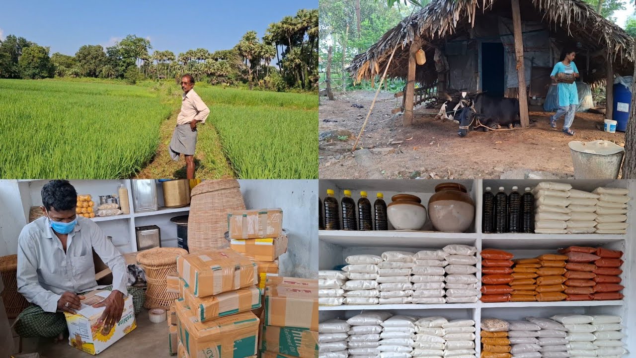 పుట్టింట్లో వ్యవసాయం 🥕🌶️🥭🌾🌾అత్తింట్లో వ్యాపారం 📊📈   //village vloging in telugu 