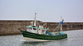 Kanedevenn : bateau de pêche sardinier / Quiberon