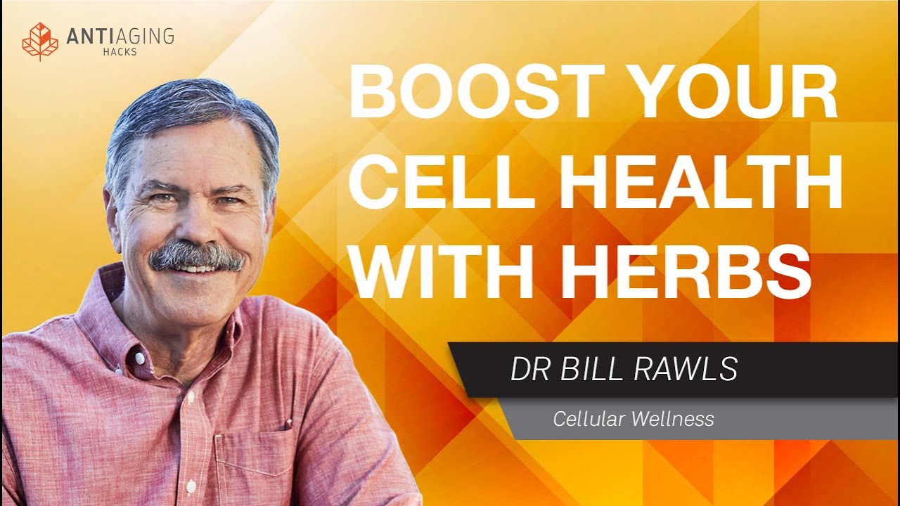 How To Make Your Cells As Efficient As Possible Using The Power Of How To Make Your Cells As Efficient As Possible Using The Power Of