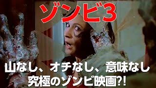 駄作?傑作?ムダを省いた、純粋な ゾンビ 映画!【 ゾンビ 映画 紹介】