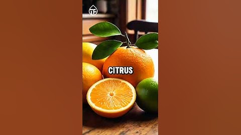 Foods That Trigger Acid Reflux (AVOID THESE!)