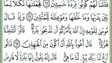 صفحة تاسعة (من آية 61 إلى أية 69 ) من سورة البقرة مكررة 10 مرات بتلاوة القارئ ياسر الدوسري