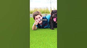 🌱 Choosing the right artificial grass for your project?