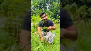 Chomoloko Bahini Funny Video