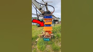 Genius Way to Remove a Stubborn Tree Trunk #shorts