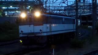 2019/06/27 【単機回送】 JR貨物 単1787レ EF65-2083 浜川崎駅 | JR Freight: EF65-2083 at Hama-Kawasaki