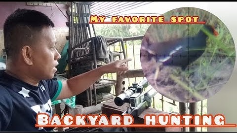 ruak-ruak/uwis hunting