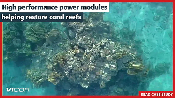 Accelerating coral reef growth using high performance power modules - DayDayNews