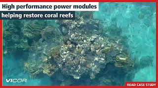 Accelerating coral reef growth using high performance power modules