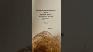 Di̇nî Kisa Vi̇deo Whatsapp Durum Videoları