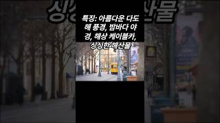 🏖 다가오는 휴가철을 맞아 전라남도 여수 휴양지로 고고씽~~~ #전라남도 휴양지 #여수가볼만한곳